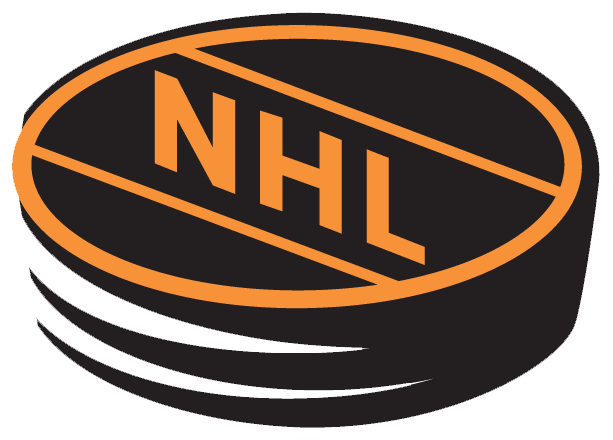National Hockey League 1994-2005 Alternate Logo iron on heat transfer